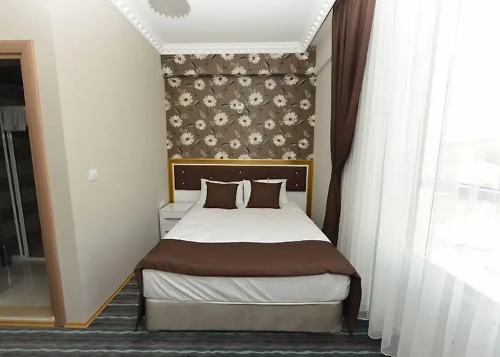 Grand Surmely Business *